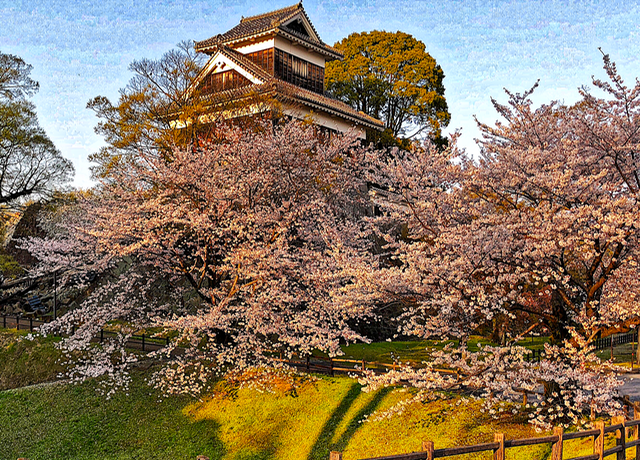 Kumamoto, Japan